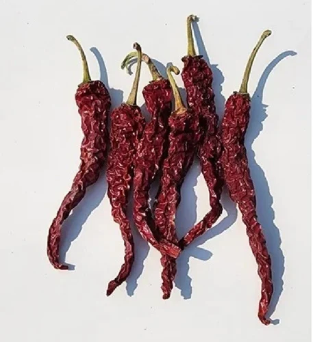 Byadagi Chilli