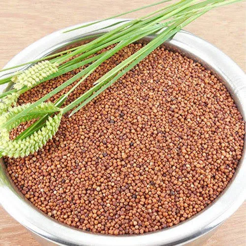 Ragi & Millets